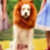 TRISH SCULLY HOME Accessories DOG LION MANE 2 TRISH SCULLY HOME Accessories DOG LION MANE