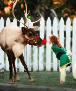 TRISH SCULLY HOME THE ELF Dress Up