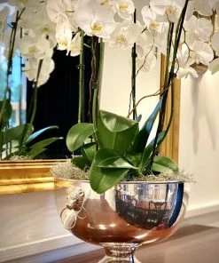 TRISH SCULLY SILVER PLATED EDINBURGH BOWL HOME 15 TRISH SCULLY SILVER PLATED EDINBURGH BOWL HOME