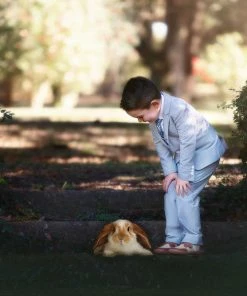 TRISH SCULLY HOME ASHFORD SEERSUCKER 3 PC. SUIT 11 TRISH SCULLY HOME ASHFORD SEERSUCKER 3 PC. SUIT