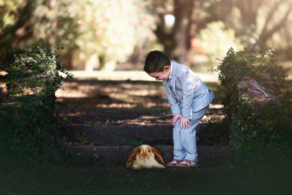 TRISH SCULLY HOME ASHFORD SEERSUCKER 3 PC. SUIT 6 TRISH SCULLY HOME ASHFORD SEERSUCKER 3 PC. SUIT