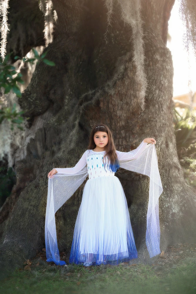 TRISH SCULLY HOME PRINCESS SIGRID GOWN Dress Up 6 TRISH SCULLY HOME PRINCESS SIGRID GOWN Dress Up