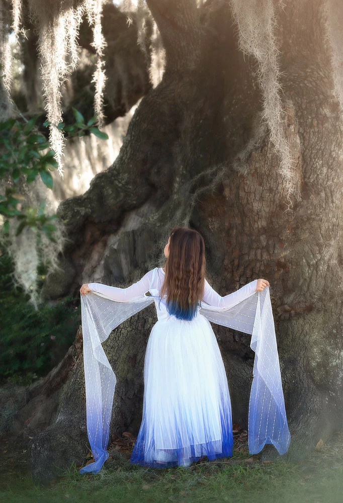 TRISH SCULLY HOME PRINCESS SIGRID GOWN Dress Up 8 TRISH SCULLY HOME PRINCESS SIGRID GOWN Dress Up