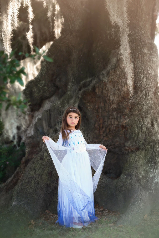 TRISH SCULLY HOME PRINCESS SIGRID GOWN Dress Up 9 TRISH SCULLY HOME PRINCESS SIGRID GOWN Dress Up