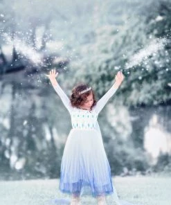 TRISH SCULLY HOME PRINCESS SIGRID GOWN Dress Up