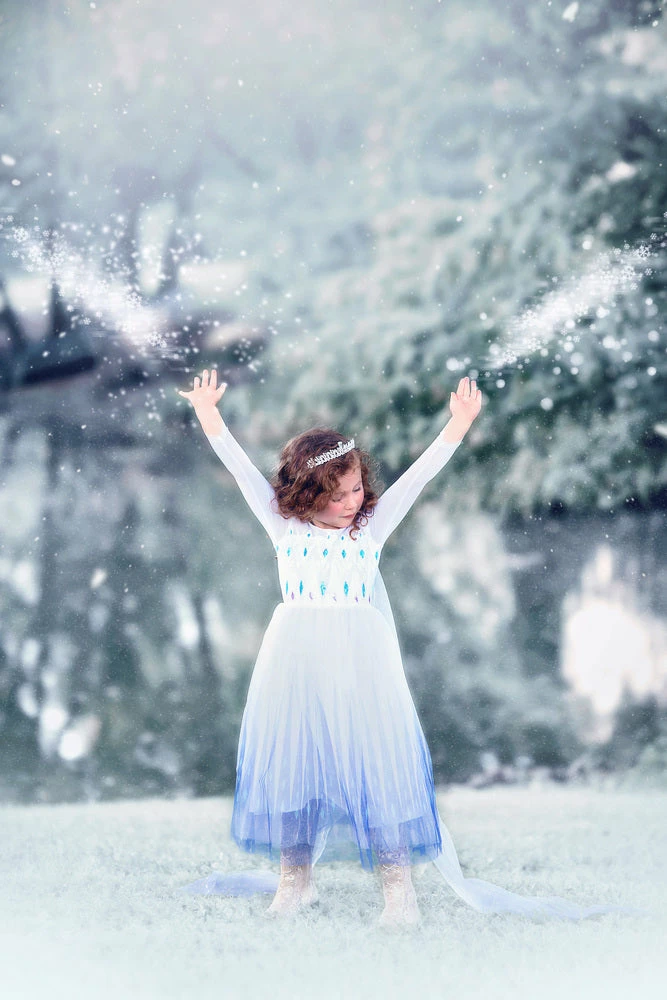 TRISH SCULLY HOME PRINCESS SIGRID GOWN Dress Up 3 TRISH SCULLY HOME PRINCESS SIGRID GOWN Dress Up