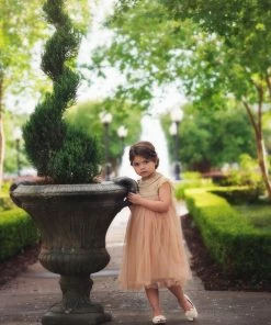 TRISH SCULLY ALLESSANDRA DRESS BUTTERSCOTCH