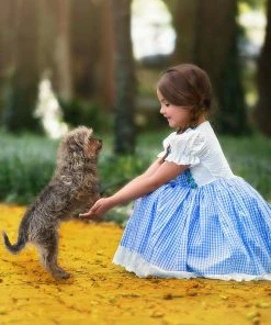 TRISH SCULLY Dress Up DOROTHY 12 TRISH SCULLY Dress Up DOROTHY