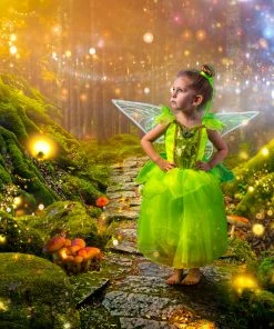 TRISH SCULLY Dress Up ENCHANTED FAIRY DRESS & WING SET 9 TRISH SCULLY Dress Up ENCHANTED FAIRY DRESS & WING SET