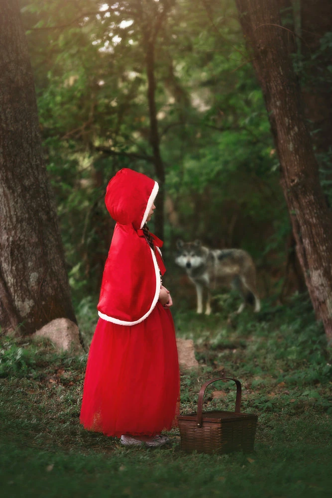 TRISH SCULLY LITTLE RED RIDING HOOD 5 TRISH SCULLY LITTLE RED RIDING HOOD