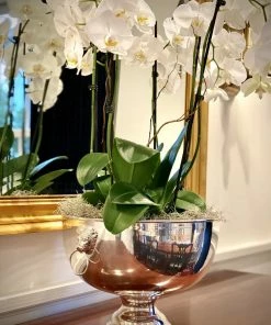 TRISH SCULLY SILVER PLATED EDINBURGH BOWL HOME 13 TRISH SCULLY SILVER PLATED EDINBURGH BOWL HOME