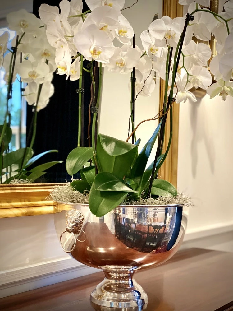 TRISH SCULLY SILVER PLATED EDINBURGH BOWL HOME 7 TRISH SCULLY SILVER PLATED EDINBURGH BOWL HOME