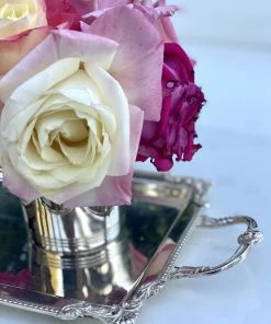 TRISH SCULLY SILVER PLATED CLARENCE TRAY HOME