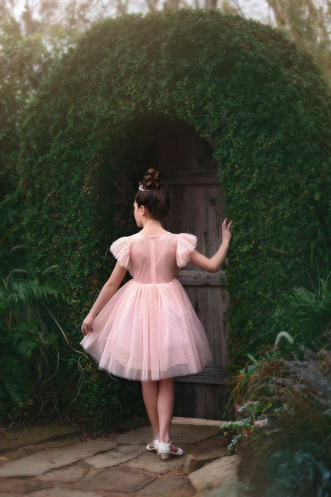 TRISH SCULLY MILLY DRESS SPARKLE PINK GIRLS 4 TRISH SCULLY MILLY DRESS SPARKLE PINK GIRLS