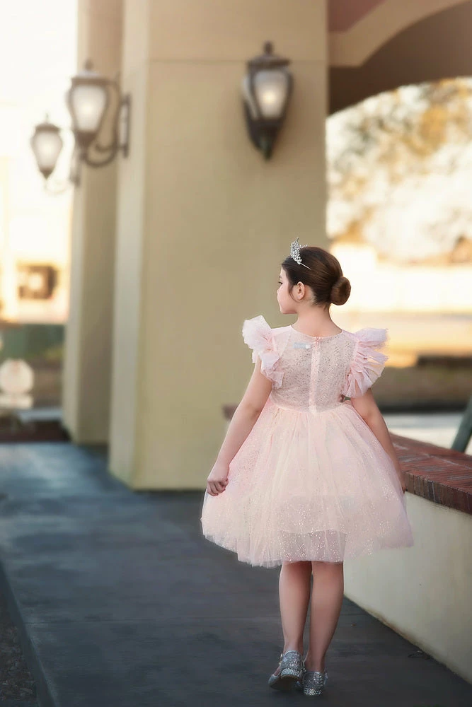 TRISH SCULLY MILLY DRESS SPARKLE PINK GIRLS 6 TRISH SCULLY MILLY DRESS SPARKLE PINK GIRLS