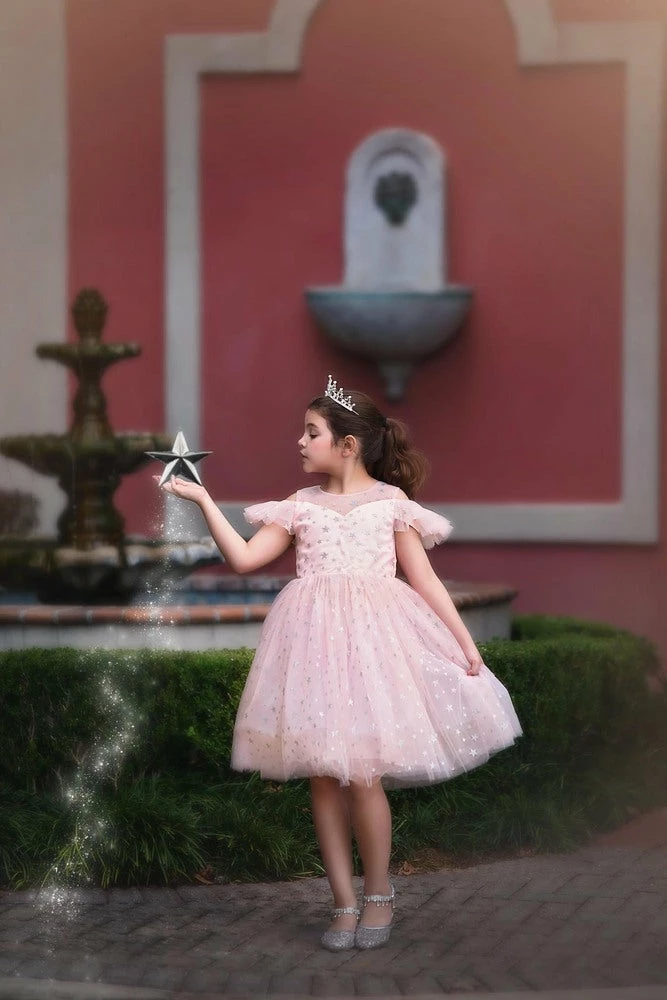 TRISH SCULLY ETOILE DRESS PINK 3 TRISH SCULLY ETOILE DRESS PINK