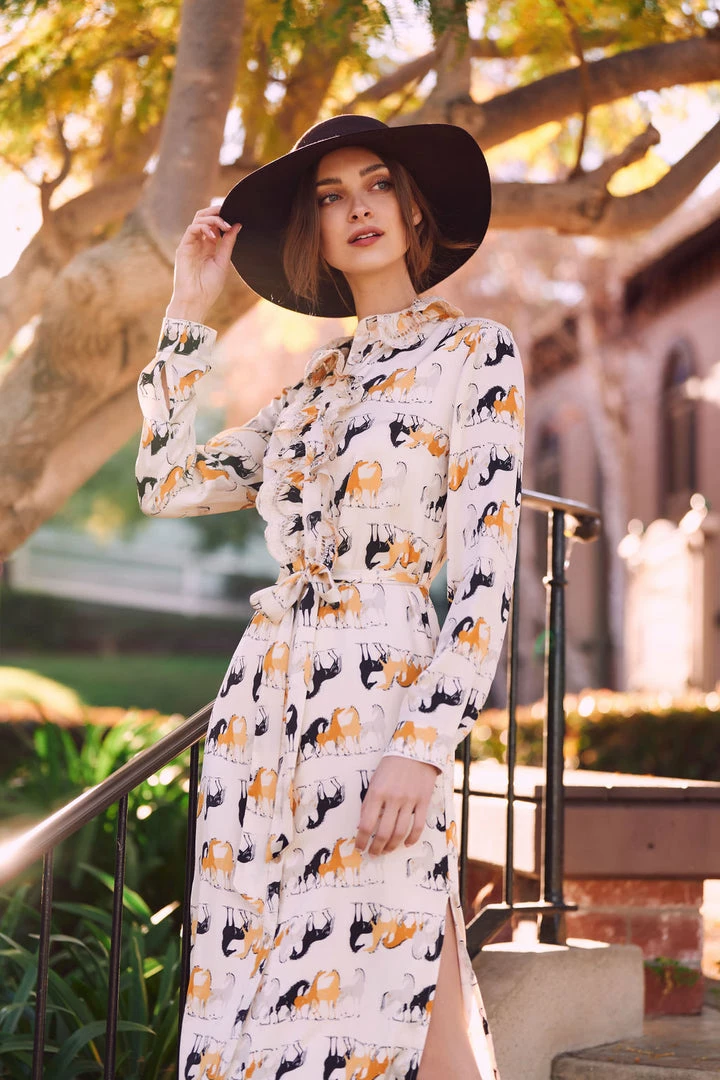 TRISH SCULLY LEA BUTTON DOWN MAXI DRESS EQUESTRIAN PRINT 3 TRISH SCULLY LEA BUTTON DOWN MAXI DRESS EQUESTRIAN PRINT