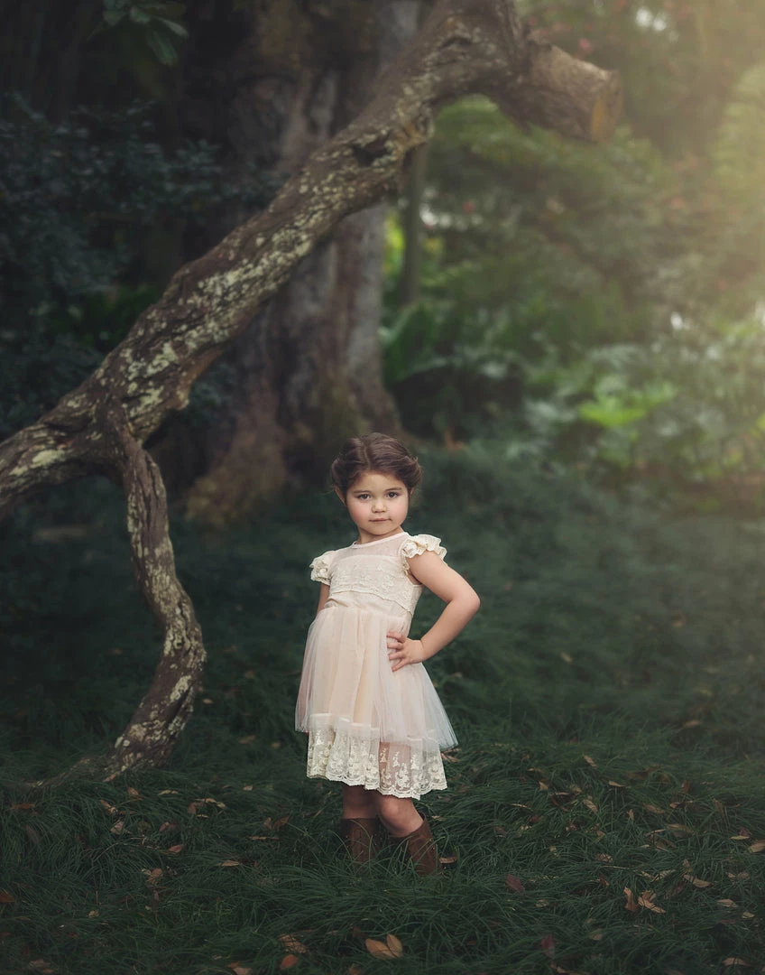 TRISH SCULLY OLIVIA DRESS BUTTERSCOTCH GIRLS 3 TRISH SCULLY OLIVIA DRESS BUTTERSCOTCH GIRLS