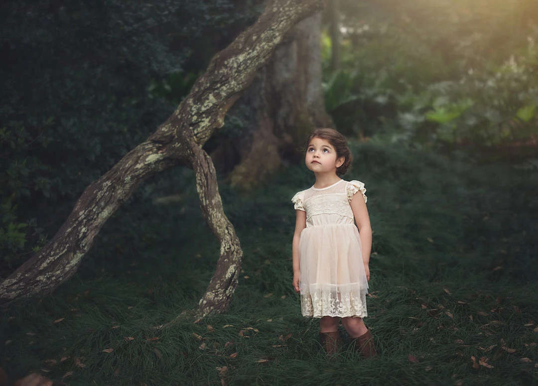 TRISH SCULLY OLIVIA DRESS BUTTERSCOTCH GIRLS 7 TRISH SCULLY OLIVIA DRESS BUTTERSCOTCH GIRLS