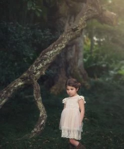 TRISH SCULLY OLIVIA DRESS BUTTERSCOTCH GIRLS 11 TRISH SCULLY OLIVIA DRESS BUTTERSCOTCH GIRLS