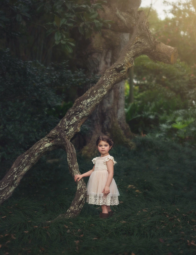 TRISH SCULLY OLIVIA DRESS BUTTERSCOTCH GIRLS 4 TRISH SCULLY OLIVIA DRESS BUTTERSCOTCH GIRLS